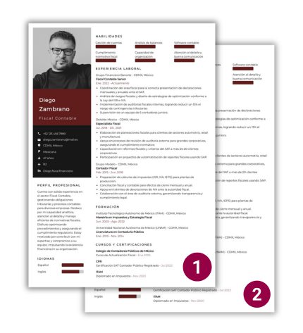 curriculum-profesional-2-paginas