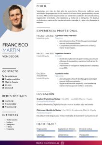 ejemplo-curriculum-vendedor