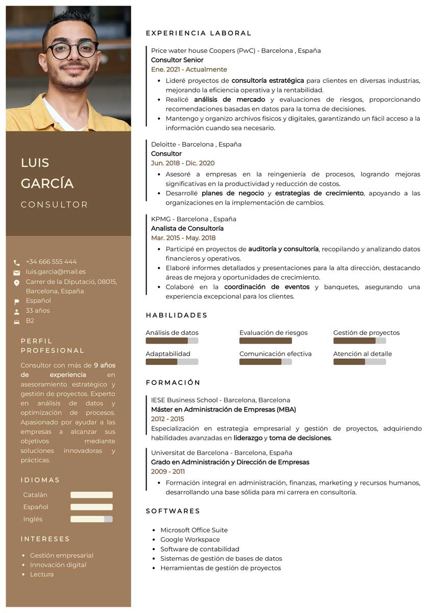 ejemplo-curriculum-consultor