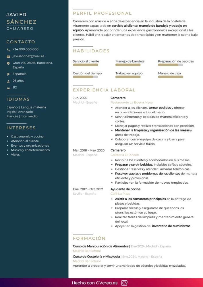 ejemplo-de-curriculum-vitae-sin-foto