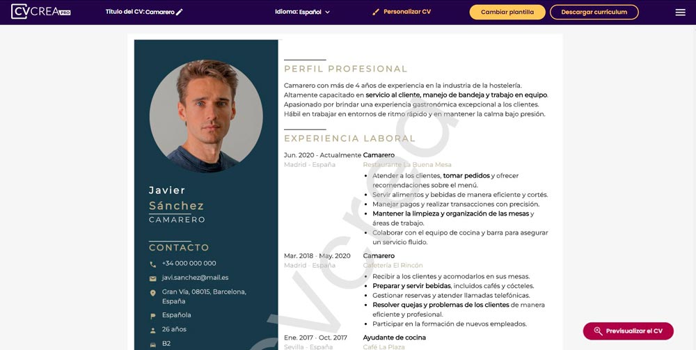 online-curriculum-vitae-builder
