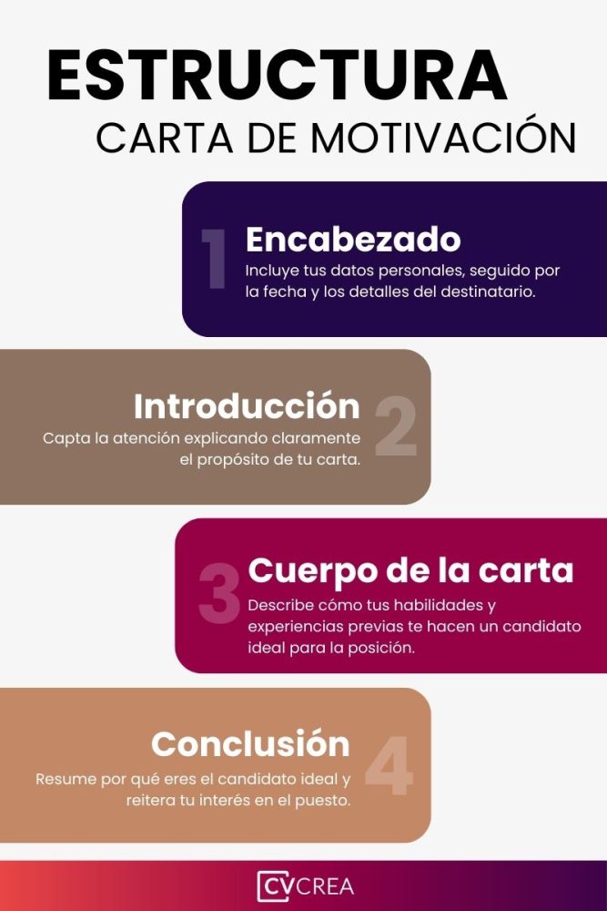 estructura-carta-de-motivacion
